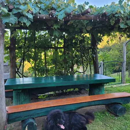 Turisticna Kmetija Kunstek Vakantiehuis